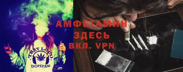 ПСИЛОЦИБИНОВЫЕ ГРИБЫ Каменногорск
