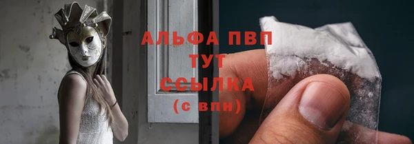 стаф Инта