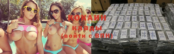 стаф Инта
