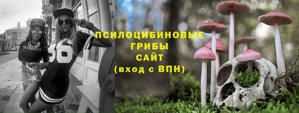 стаф Инта