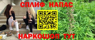 стафф Краснодар
