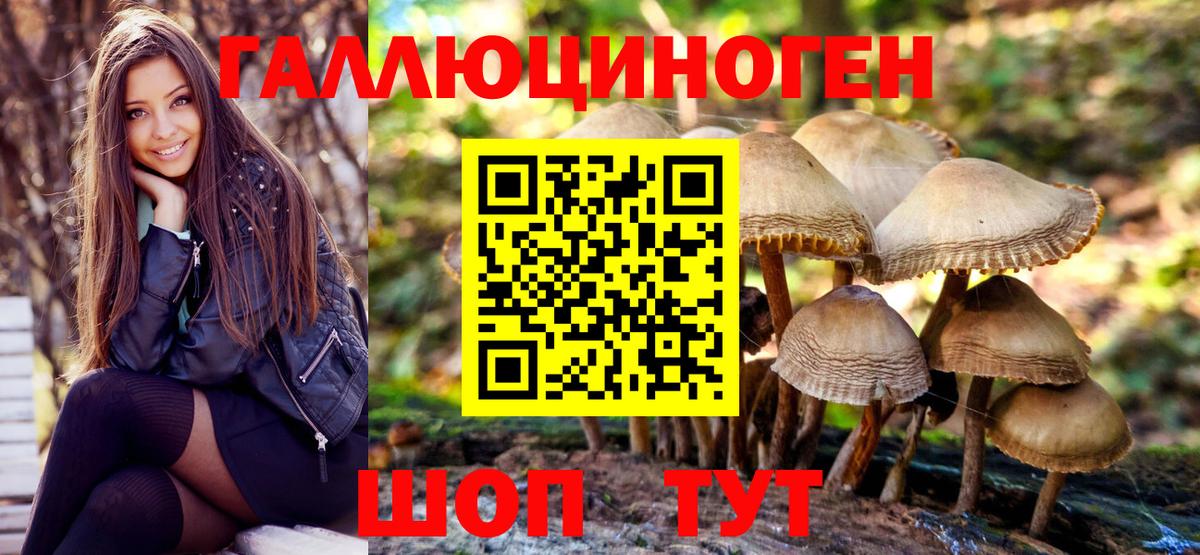 Галлюциногенные грибы MAGIC MUSHROOMS Новоалтайск