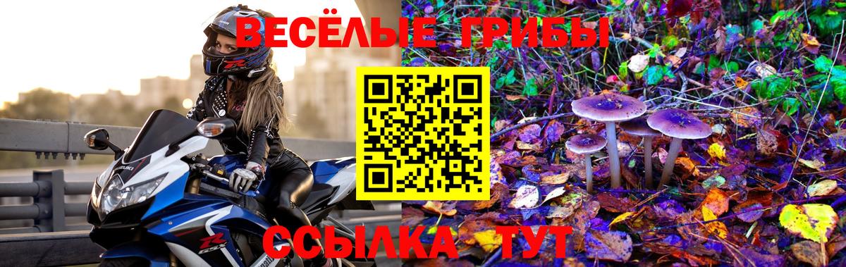 Новоалтайск  Псилоцибиновые грибы Magic Shrooms  Вход с VPN  Псилоцибиновые грибы Psilocybine cubensis 